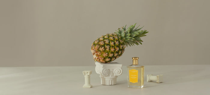 fragrance and perfume bottle 