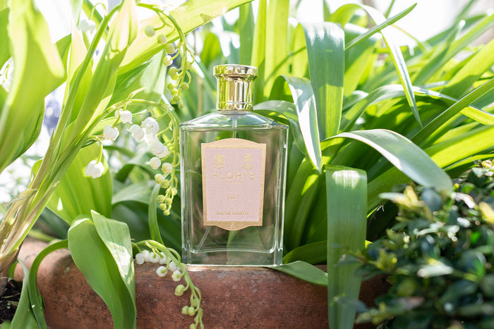 a Bottle of Floris Londons Lily Eau de Toilette on the lip of a pot filled with Lily of the Valley