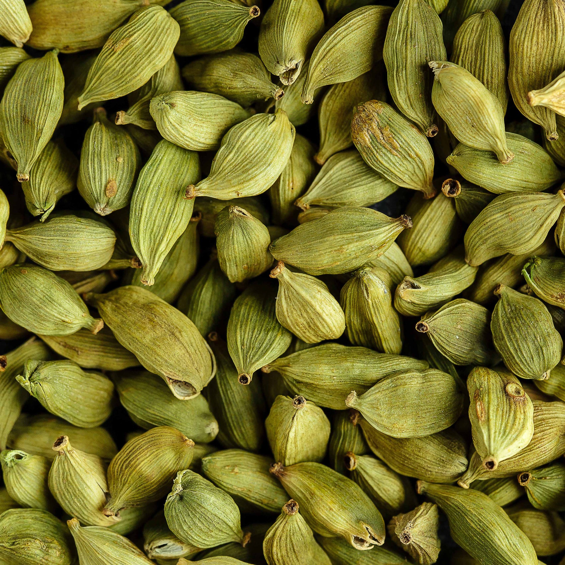 Close-up of whole green cardamom pods, whose citrusy scent inspires Floris London Cefiro Eau de Toilette—a unique unisex fragrance.
