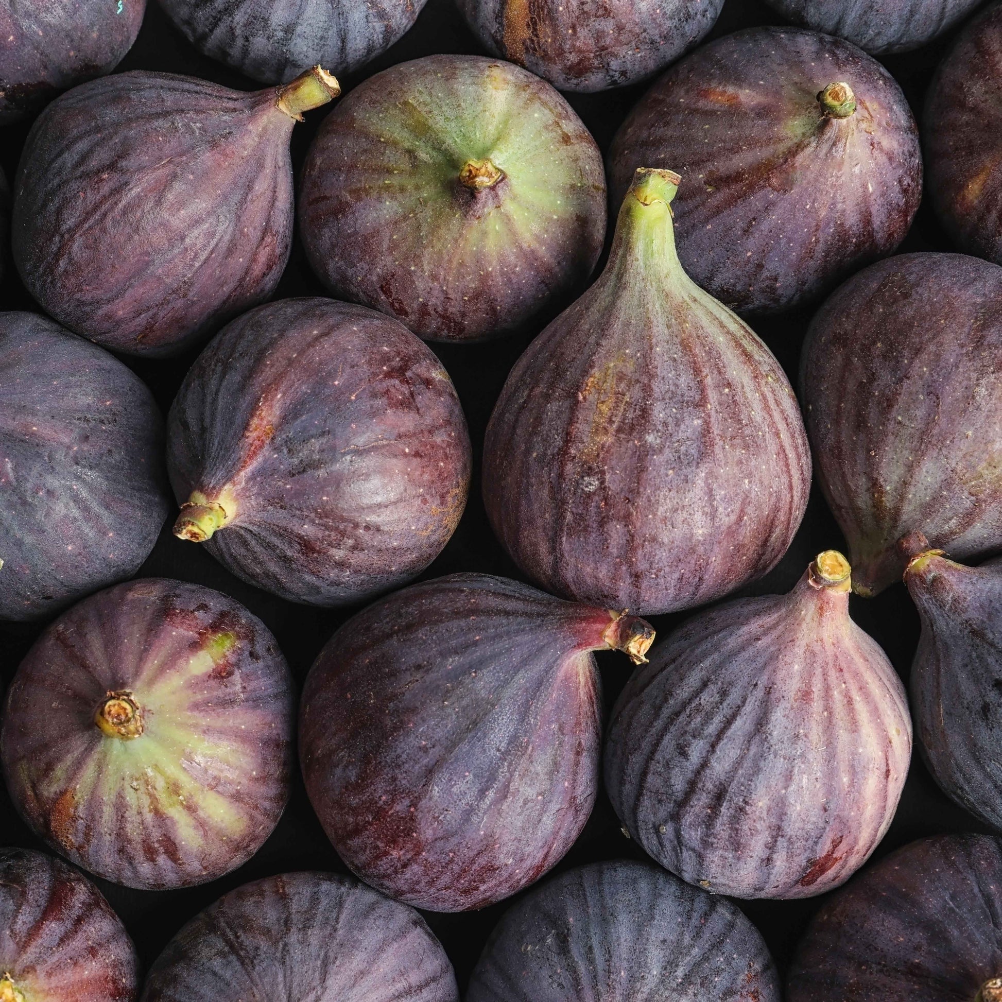 A close-up of fresh figs in purple and green hues inspires Floris London’s Mulberry Fig - Eau de Parfum, elegantly arranged together.