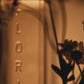 Celest - Eau de Parfum
